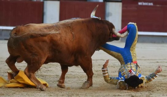 El colombiano Ritter resulta herido por el cuarto toro en Las Ventas